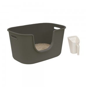 ��ǰ ������