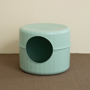 ��ǰ ������