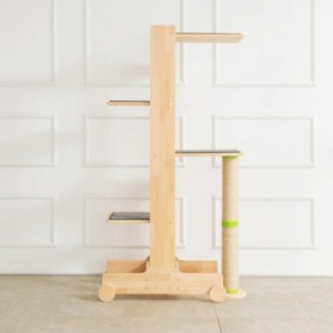 ��ǰ ������