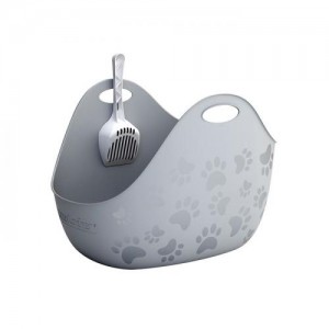 ��ǰ ������