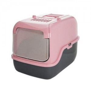 ��ǰ ������