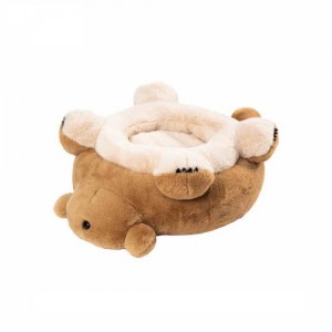 ��ǰ ������