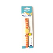 ��ǰ ������